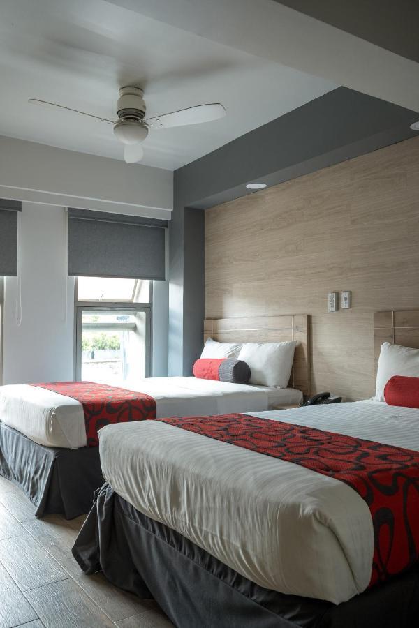 Hotel Roble Mexico-stad Buitenkant foto